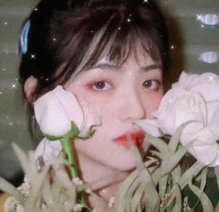 古今爱欲奇观